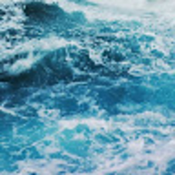 Meet your Posher, Paree - Picture 1 of 1